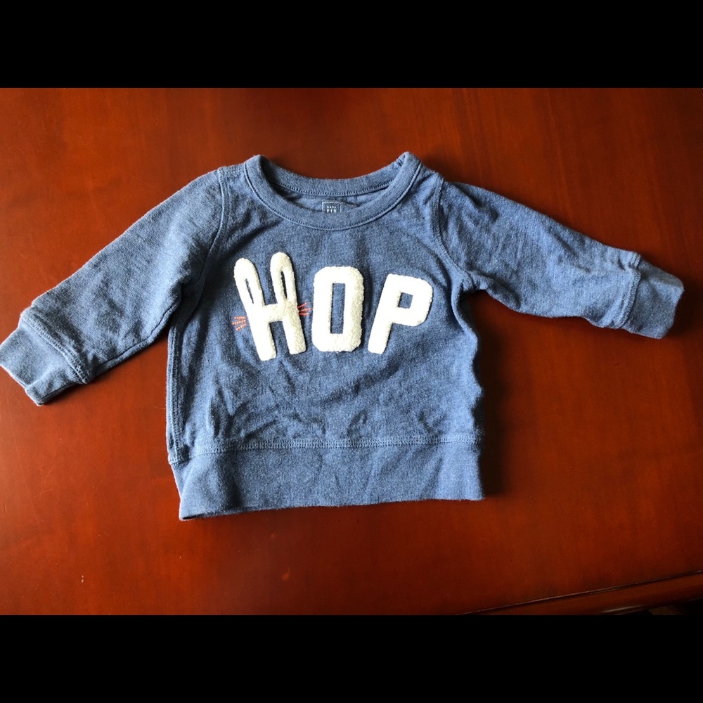 Boys Baby Gap 12-18 months EASTER sweatshirt